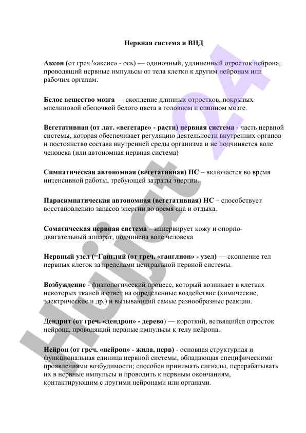 Нервная система и вегетативная нервная система