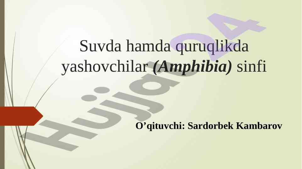 Amphibia sinfi biologiyasi va ekologik muhimligi