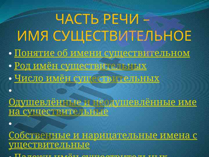 Часть речи – имя существительное обзор