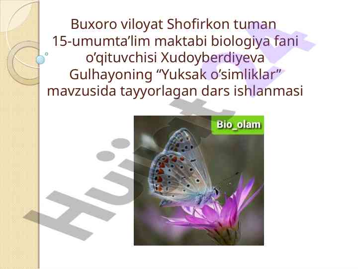 Yuksak o’simliklar mavzusida dars ishlanmasi