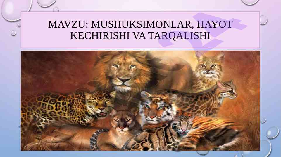 Mushuksimonlar hayot kechirişi va tarqalishi