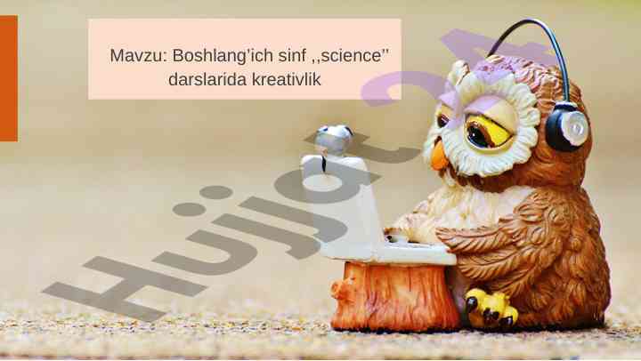 Boshlang’ich sinflarda tabiatshunoslik darslari