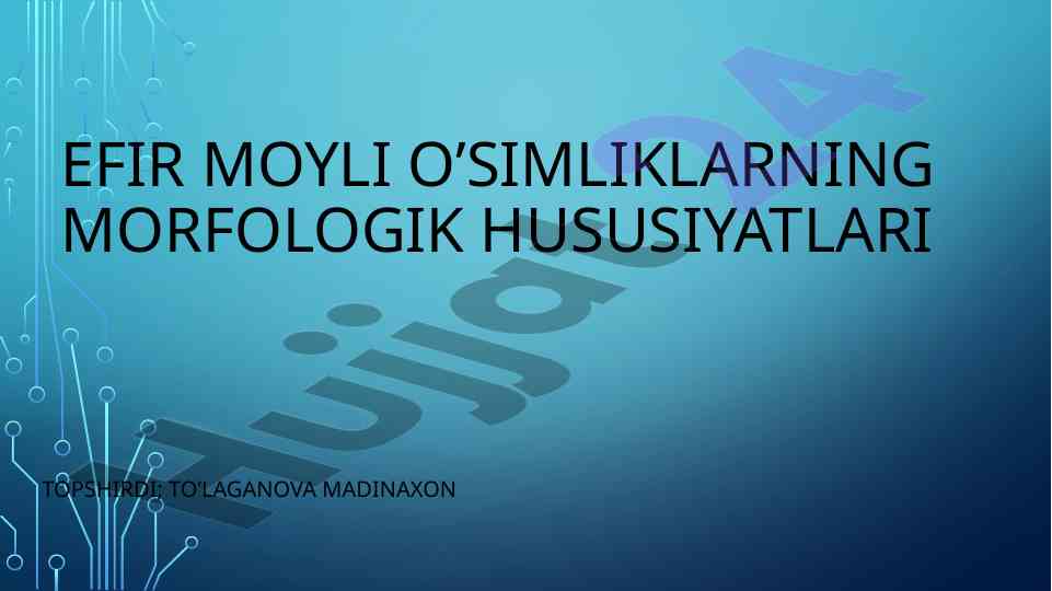 Efir moyli o'simliklarning morfologik hususiyatlari