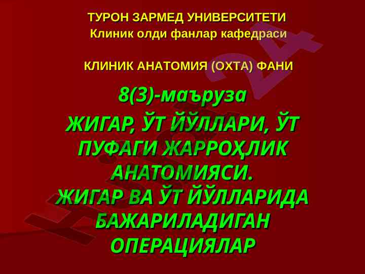 Жигар ва ўт йўллари жарроҳлик анатомияси
