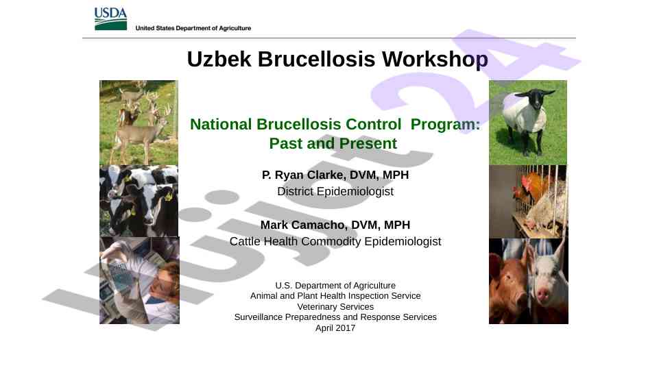 National brucellosis control program overview