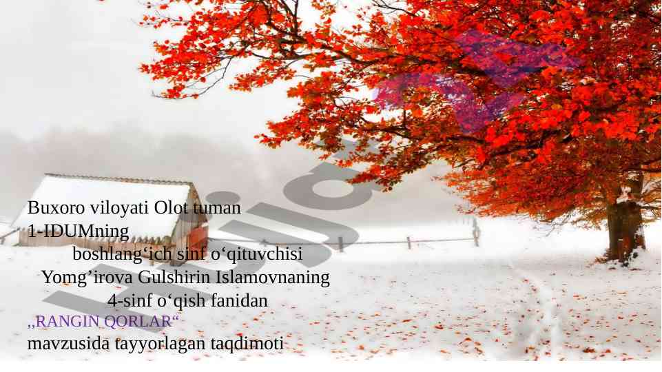 Rangin qorlar mavzusidagi taqdimot
