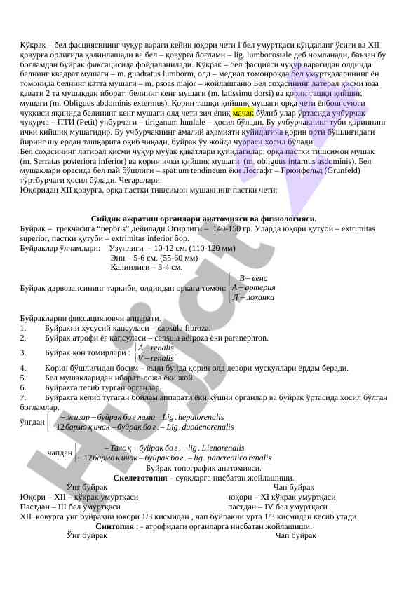 Кўкрак – бел фасцияси ва мушаклар структураси