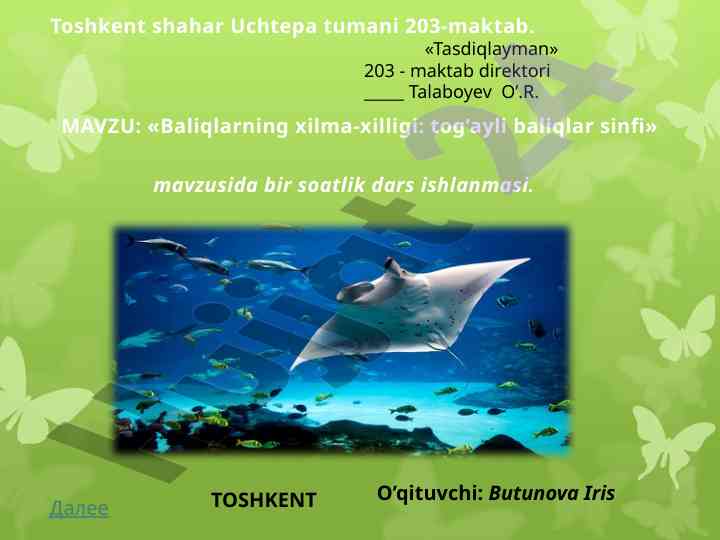 Baliqlarning xilma-xilligi tog’ayli baliqlar sinfi