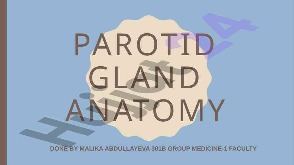 Parotid gland anatomy overview
