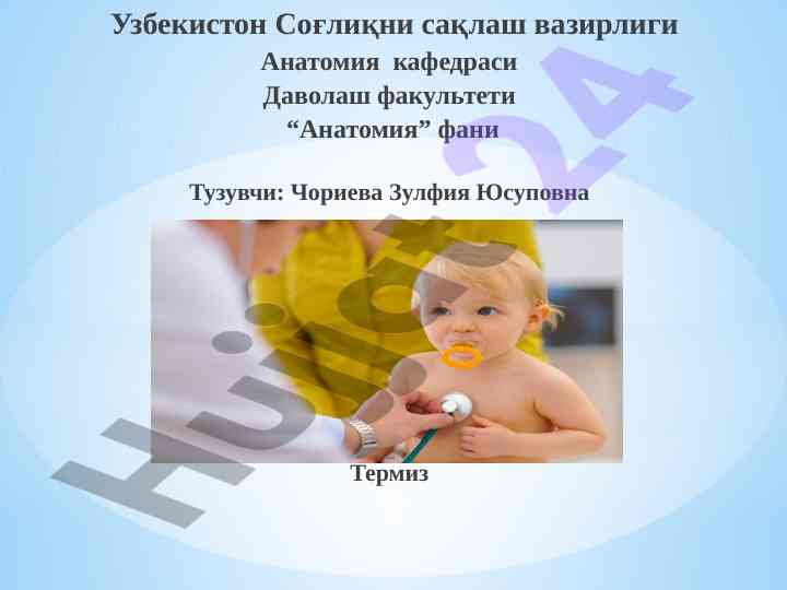 Нафас аъзоларининг функционал анатомияси