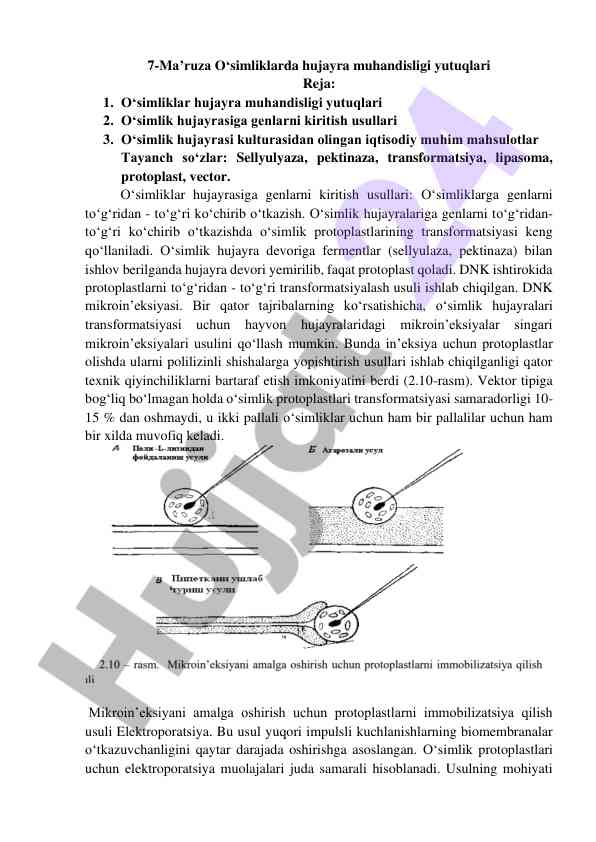 O‘simliklarda hujayra muhandisligi yutuqlari