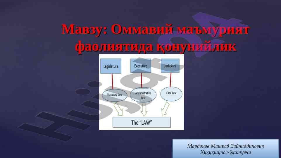 Оммавий маъмурият фаолиятида қонунийлик