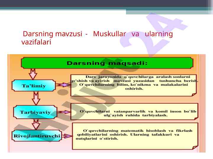 Muskullar va ularning vazifalari