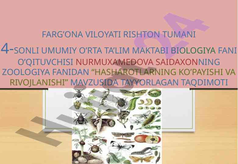 Hasharotlarning ko'payishi va rivojlanishi