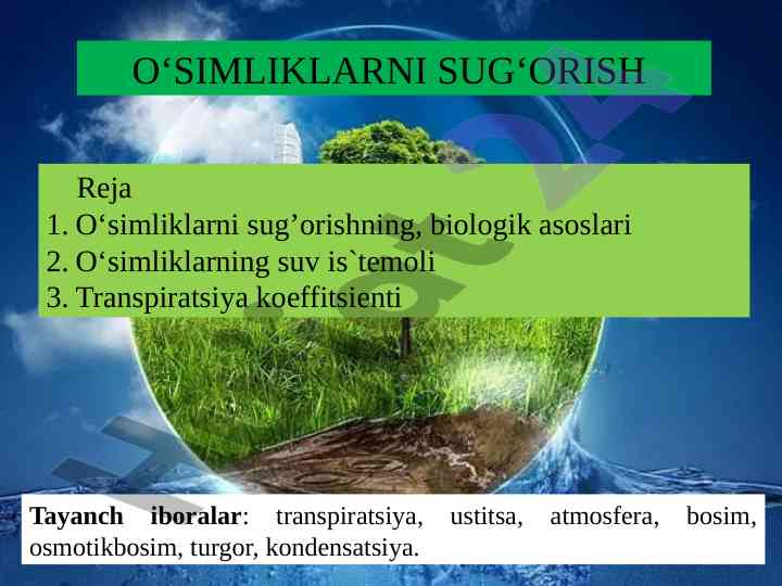 O‘simliklarni sug‘orishning biologik asoslari