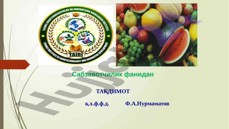 Issiqxona sharoitida qovun yetishtirish texnologiyasi