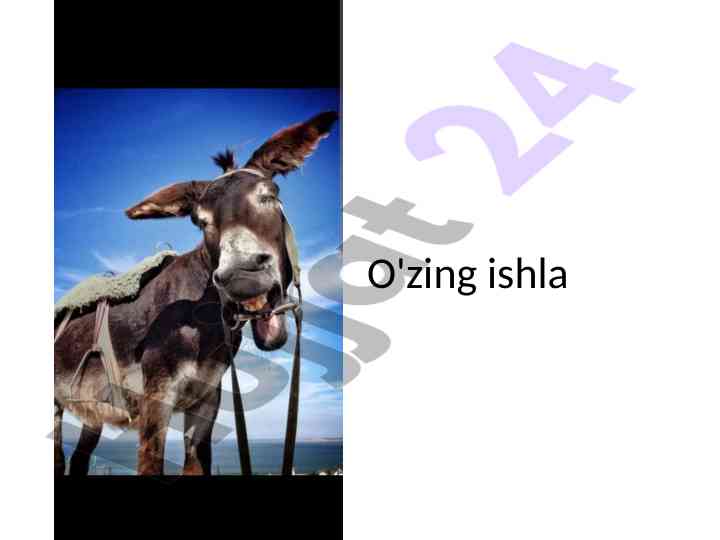 O'zing ishlashning sirlarini o'rganish