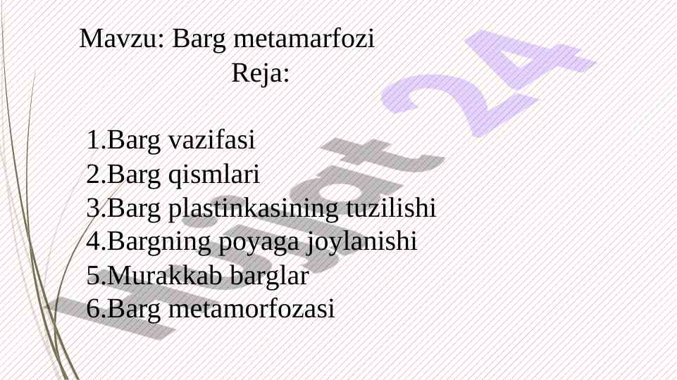 Barg metamarfozi va uning qismlari