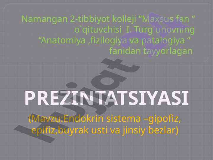 Endokrin sistema va gipofizning ahmiyati