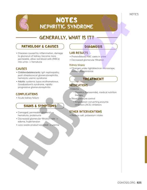 Notes on nephritic syndrome causes and treatments