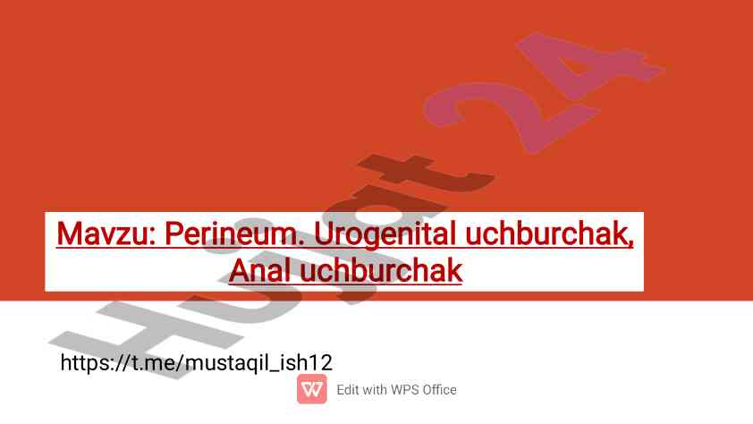 Perineum va urogenital uchburchak haqida ma'lumotlar