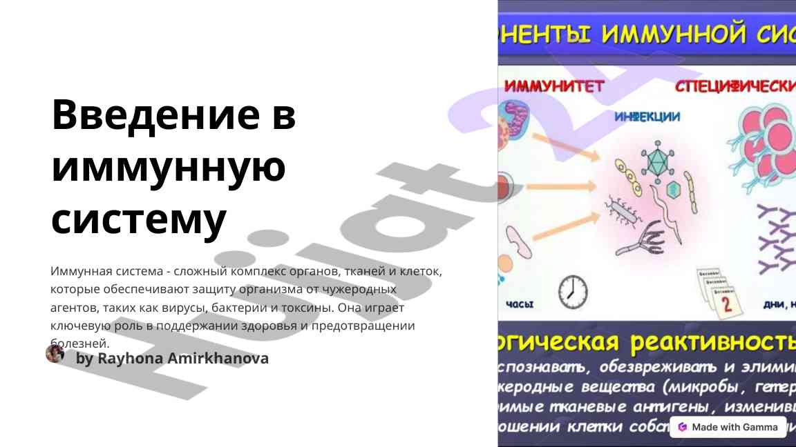 Введение в иммунную систему и ее компоненты