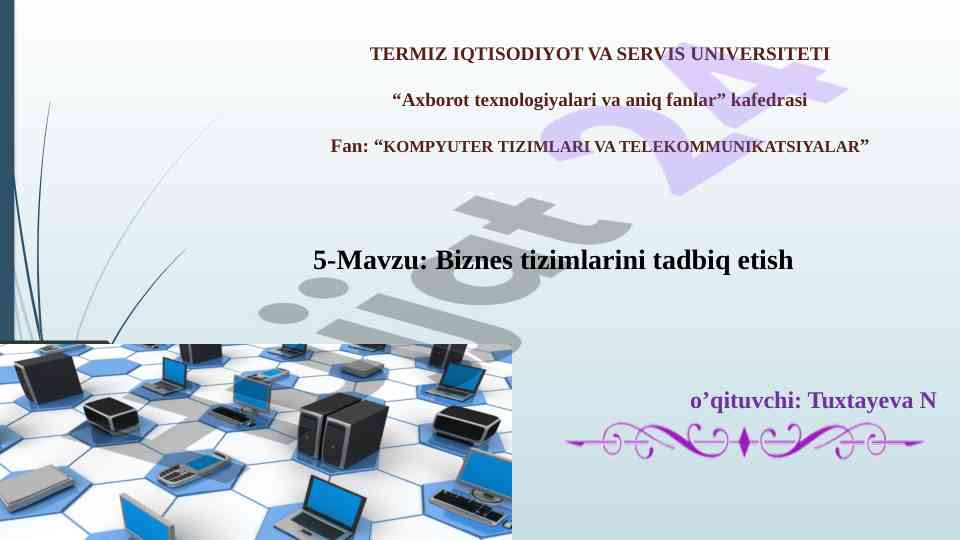 Biznes tizimlarini tadbiq etish kursi