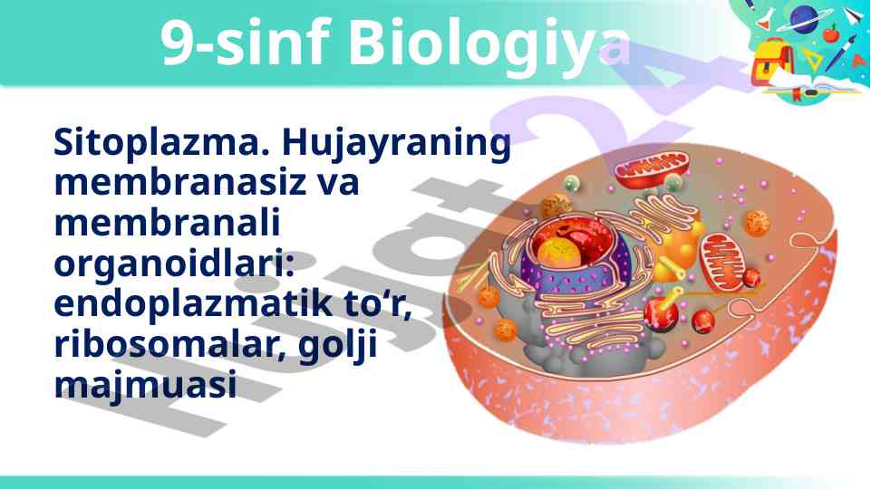 Sitoplazma hujayra va organodlari haqida ma'lumot