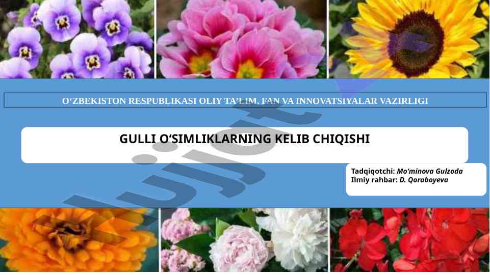 Gulli oʻsimliklarning kelib chiqishi va evolyutsiyasi