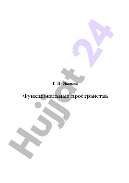 Функциональные пространства теории метрических функций