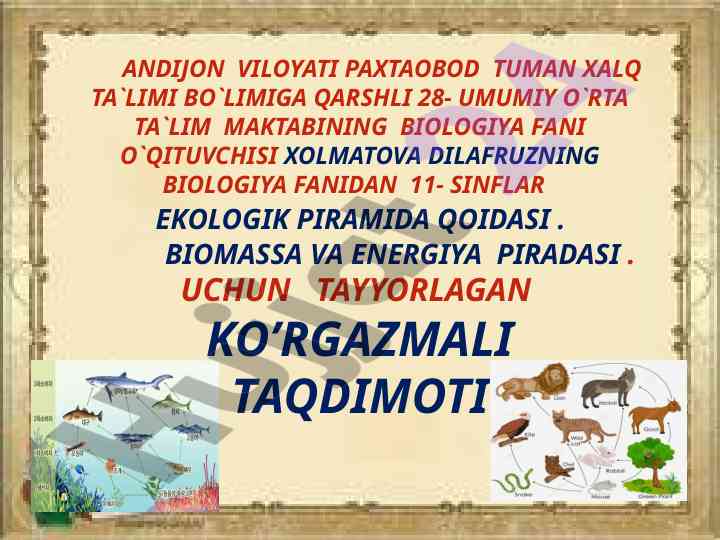 Ekologik piramidalar va energiya oziq o`lchovlari