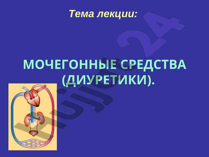 Мочегонные средства и их воздействие на организм