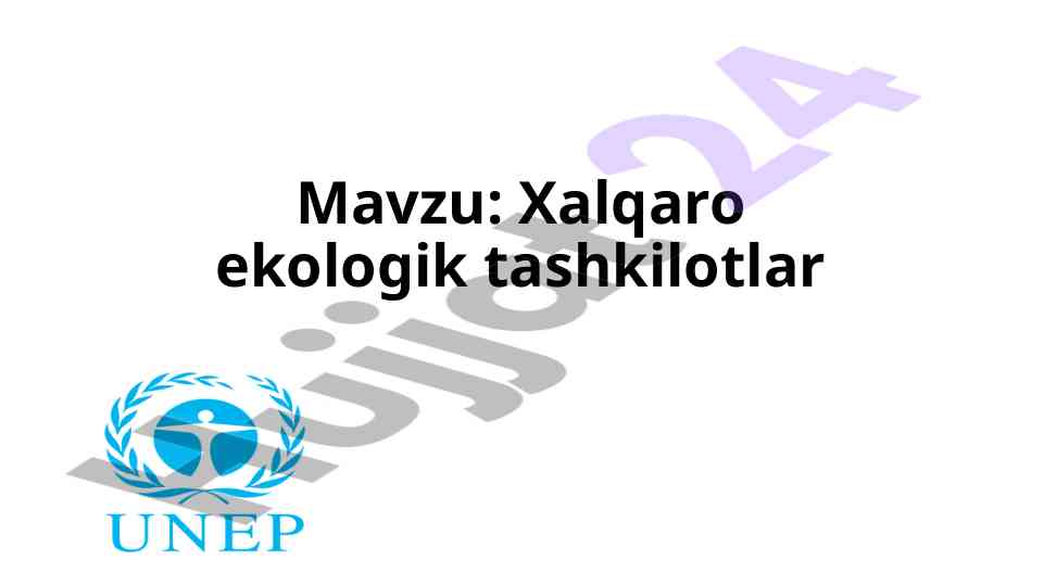 Xalqaro ekologik tashkilotlar va ularning rolini tahlil
