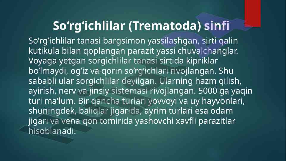 So‘rg‘ichlilar sinfi parazitlar haqida qisqacha ma'lumot