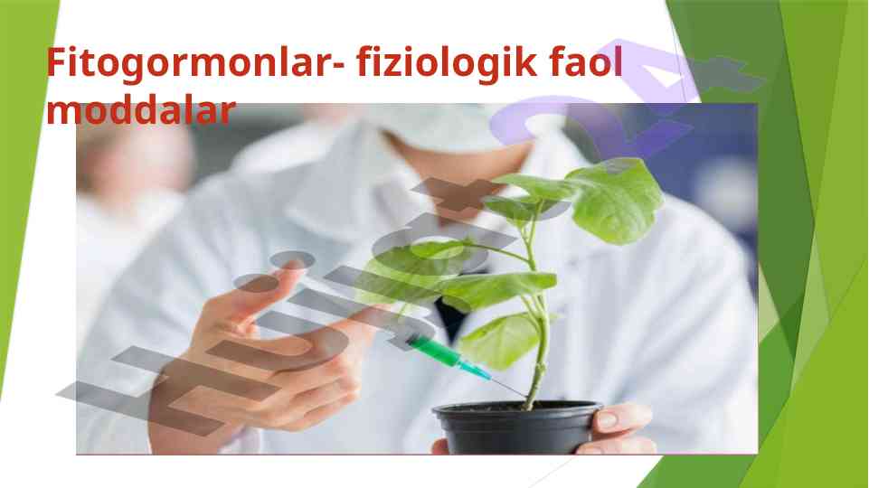 Fitogormonlar fiziologik faol moddalar