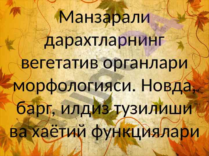 Дарахтларнинг вегетатив органлари морфологияси