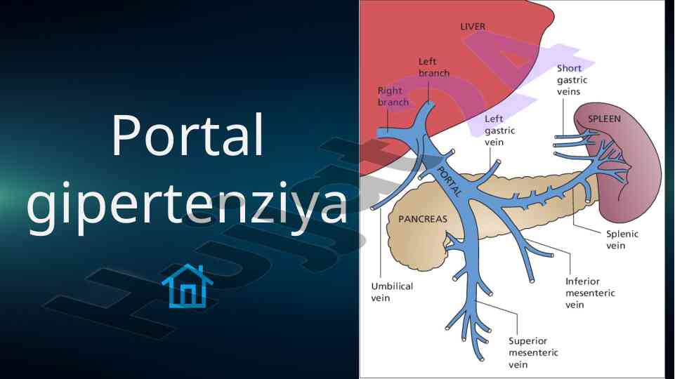 Portal gipertenziya va qon tomirlari tahlili