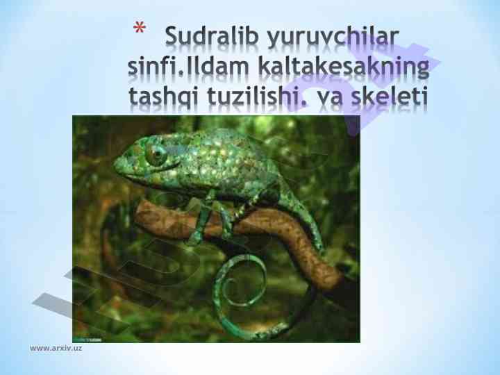 Hayvonlar tarqalishi va ahamiyati bilan tanishtirish
