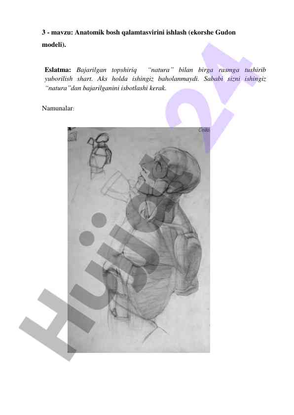 Anatomik bosh qalamtasvirini ishlash usullari