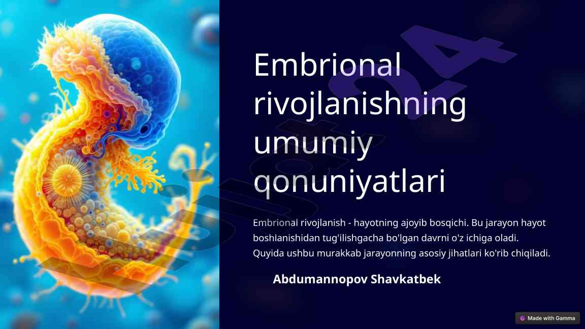 Embrional rivojlanishning ahamiyati va bosqichlari