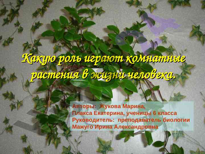Роль комнатных растений в жизни человека