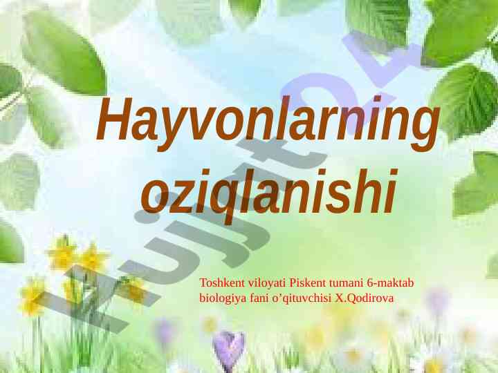 Hayvonlarning oziqlanishi va avtotrof organizmalar