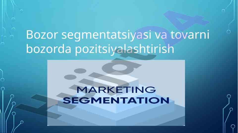 Bozor segmentatsiyasi va tovarni pozitsiyalashtirish