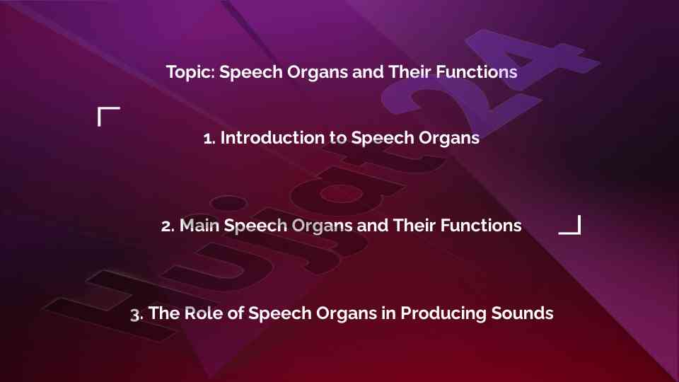 Speech organs and their functions explained