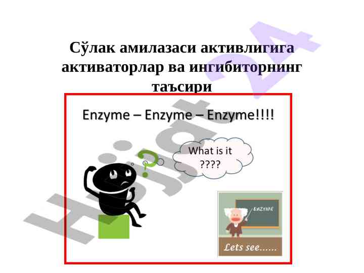 Ferment aktivligi va inhibitorlarning ta'siri