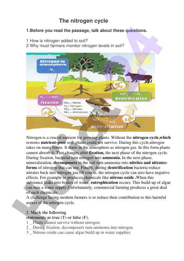 Understanding the nitrogen cycle in agriculture