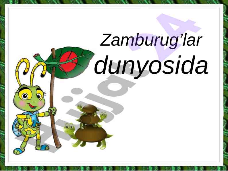 Zamburug’lar turi va ularning ekologik roli