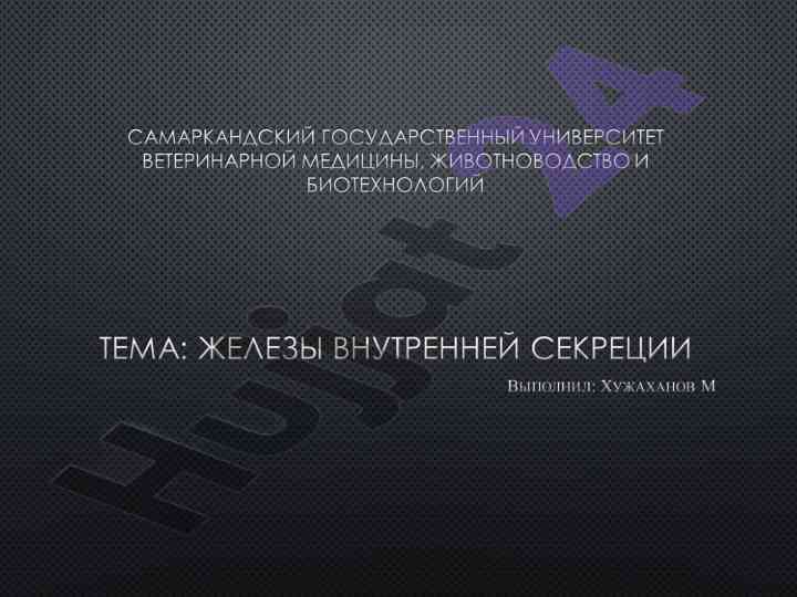 Эндокринные железы и их роль в регуляции организма