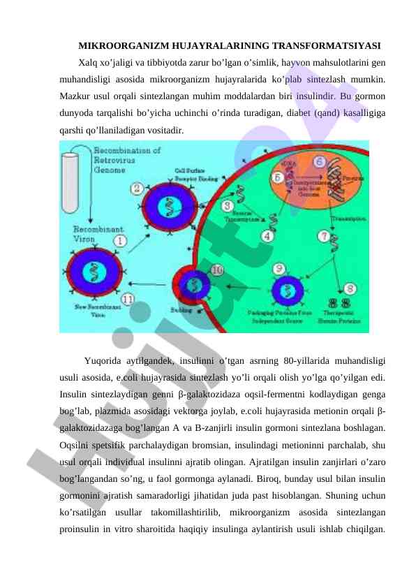 Mikroorganizmlar hujayralarining transformatsiyasi bo'yicha tahlil