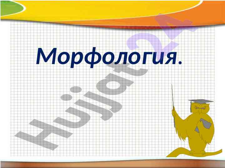 Morfologiya tahlili va qismi